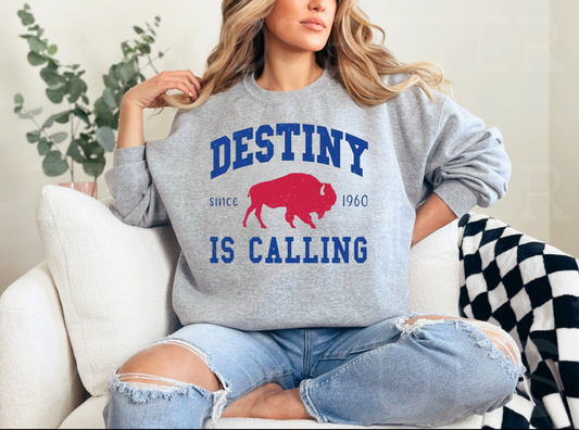 Destiny is Calling Distressed Shirt