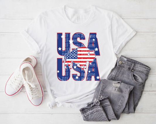 Buffalo American Flag USA Shirt